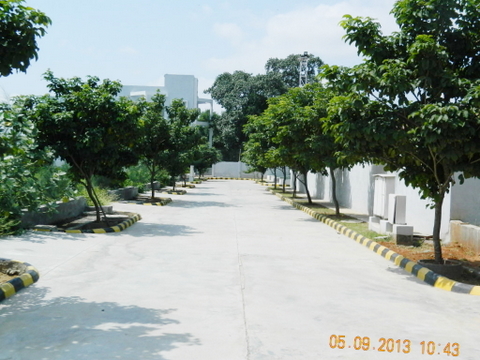layout