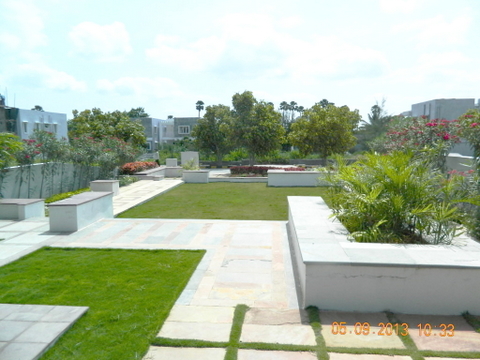 layout