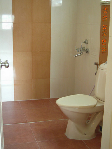 layout