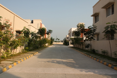layout