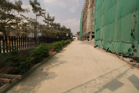 layout