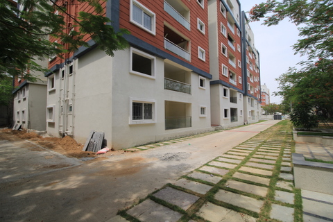 layout